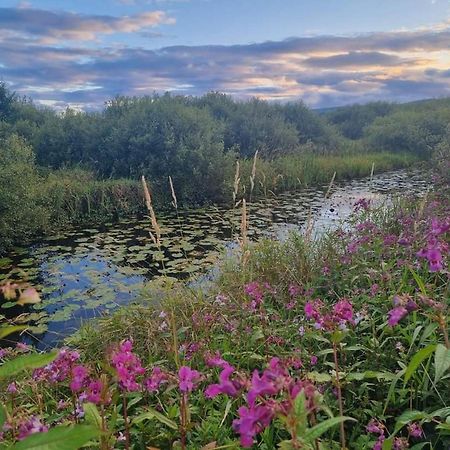 Luxury Family Beechwood Lodge With Hot Tub Lochwinnoch エクステリア 写真