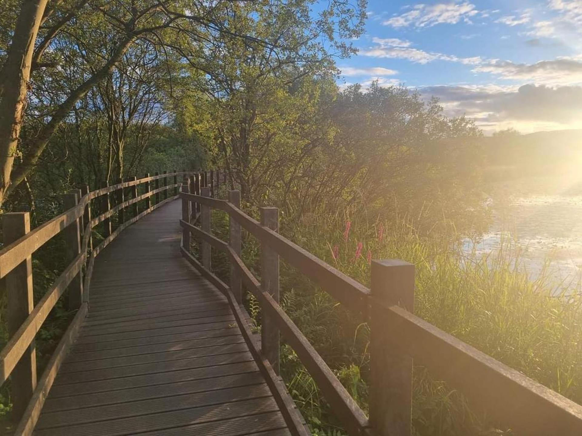 Luxury Family Beechwood Lodge With Hot Tub Lochwinnoch エクステリア 写真